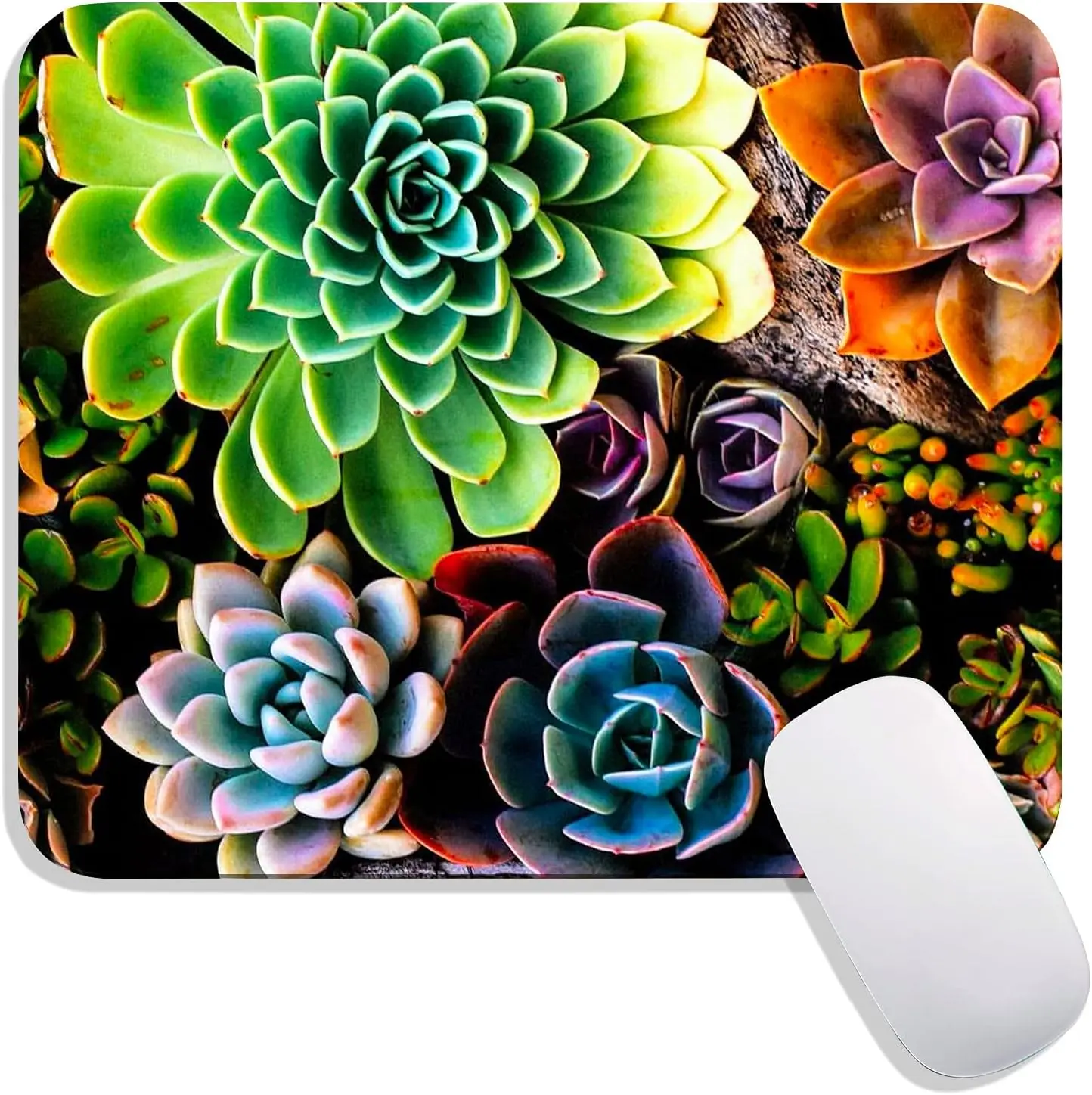 

Succulent Floral Mouse Pad Watercolor Premium-Textured Mousepads Design Mousepad Non-Slip Rubber Base Computer Mouse Pads