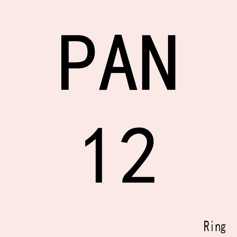

PAN JZ 12