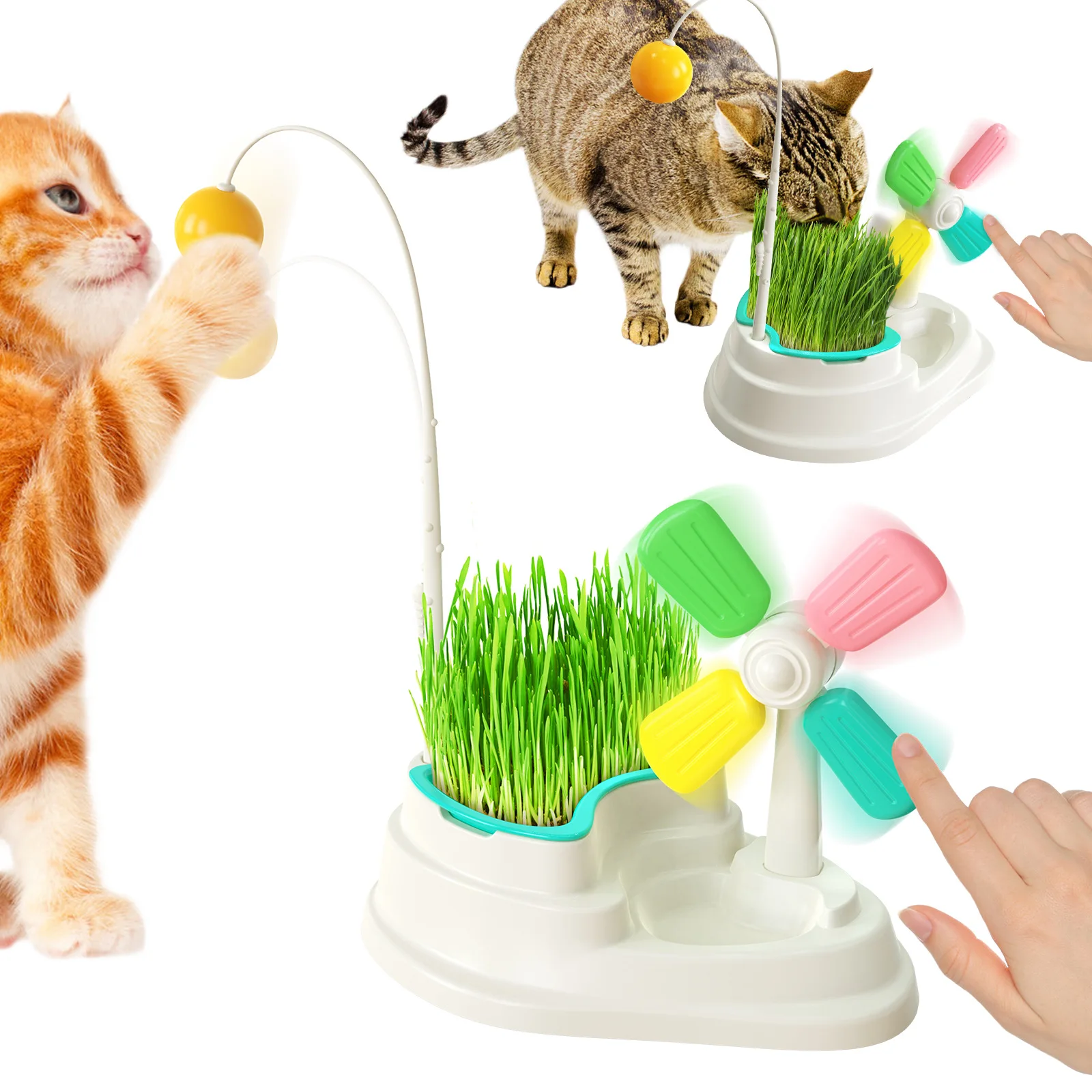 

Fighting cats, teasing cats, grass sticks, windmills