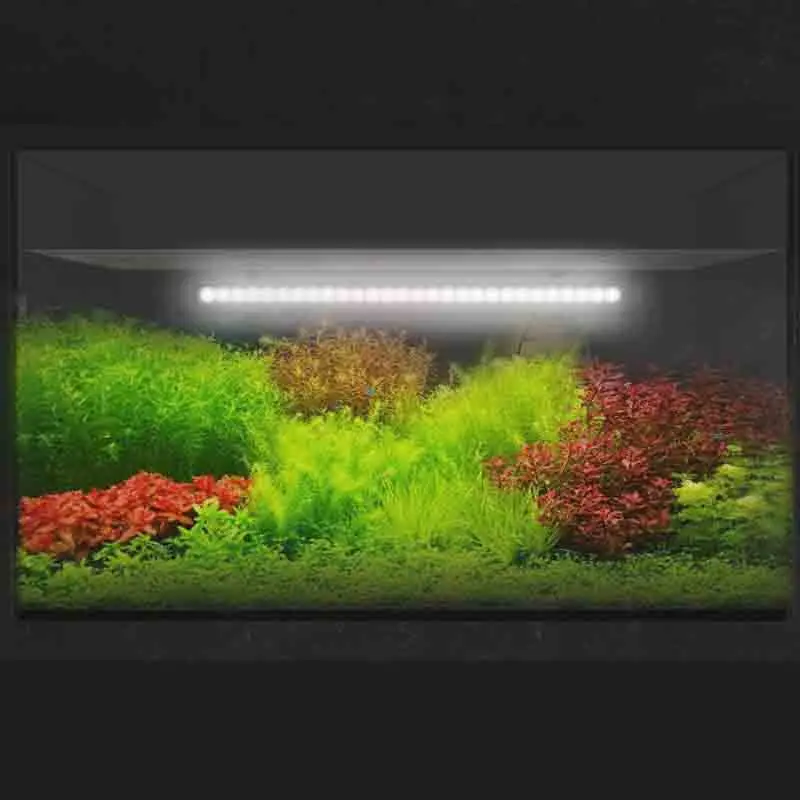 

Черный светильник для аквариума Maxspect, полный спектр, естественный аквариумный светильник, светодиодный водонепроницаемый светильник для креветок, свет для аквариума, товары для домашних животных