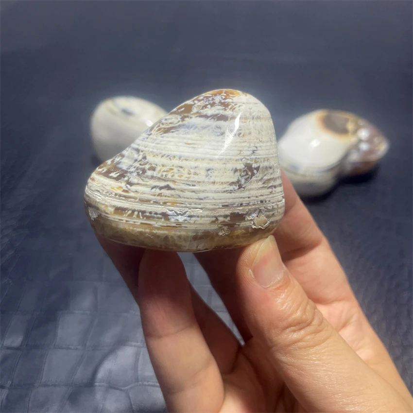 Натуральные кристаллы океанская яшма свободная форма красочное высокое