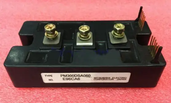 

PM300DSA060 PM300CSE060