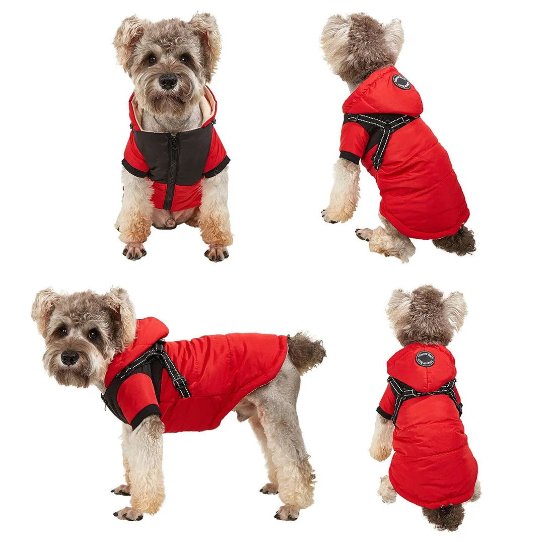 

Newest Pet Clothes Autumn and Winter Dog Jackets with Traction Waterproof Warm Bull Puppy Clothing Pet Warm Cotton Down Jacket