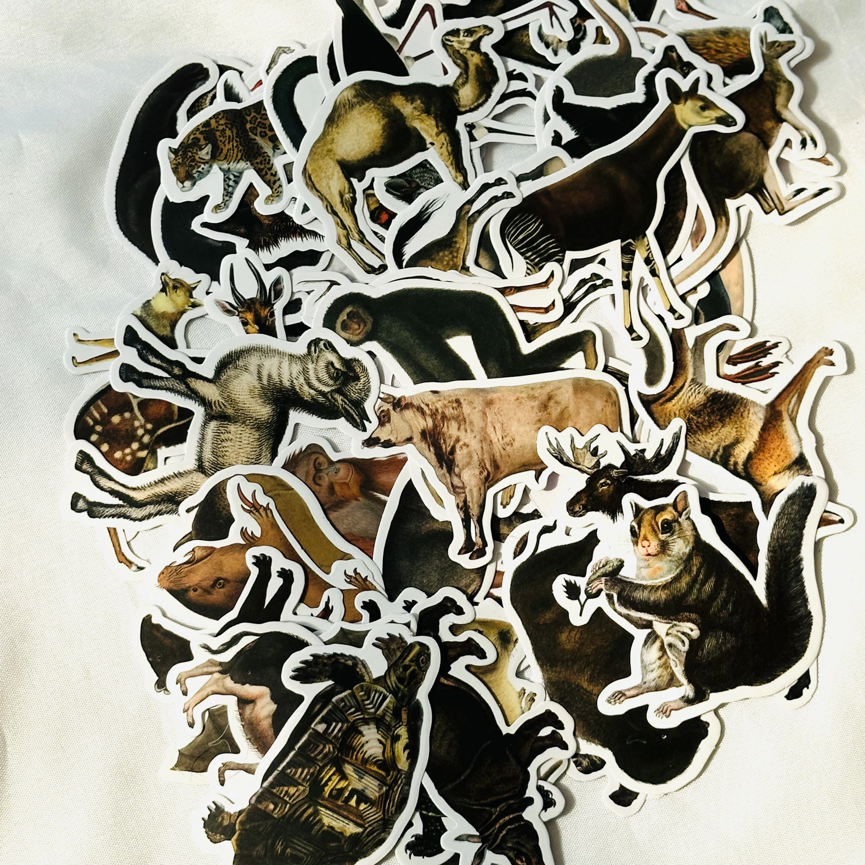 

50 шт., винтажные животные, зоопарк