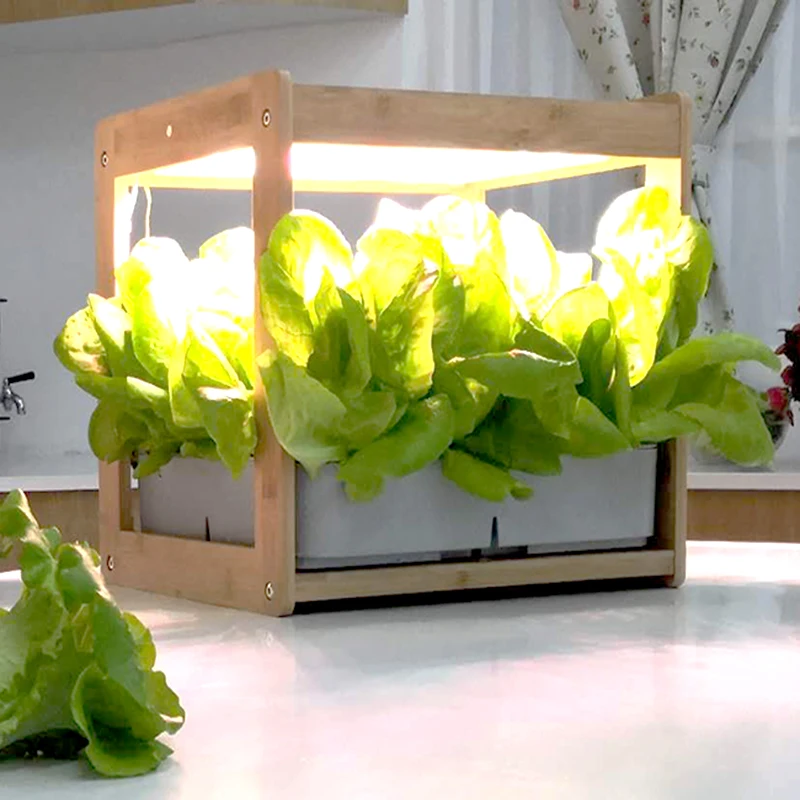 

Shenzhen Manufacture Mini Hydro Power Plant Power System High Quality Grow Box For Indoor Herb Vegetable