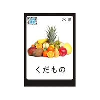 japanese pronunciation word card fruit picture flash early education learning enlightenment kindergarten cognitive teaching