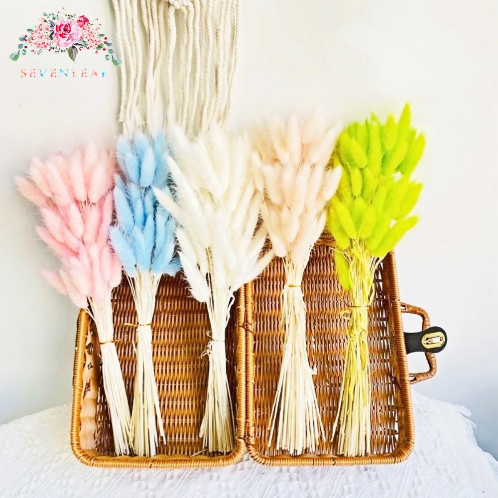 

50pcs Natural Bunny Tails Dried Flowers Driy Fluffy Pampas Grass for Floral Arrangement Rustic Wedding Decoration Diy Home Decor