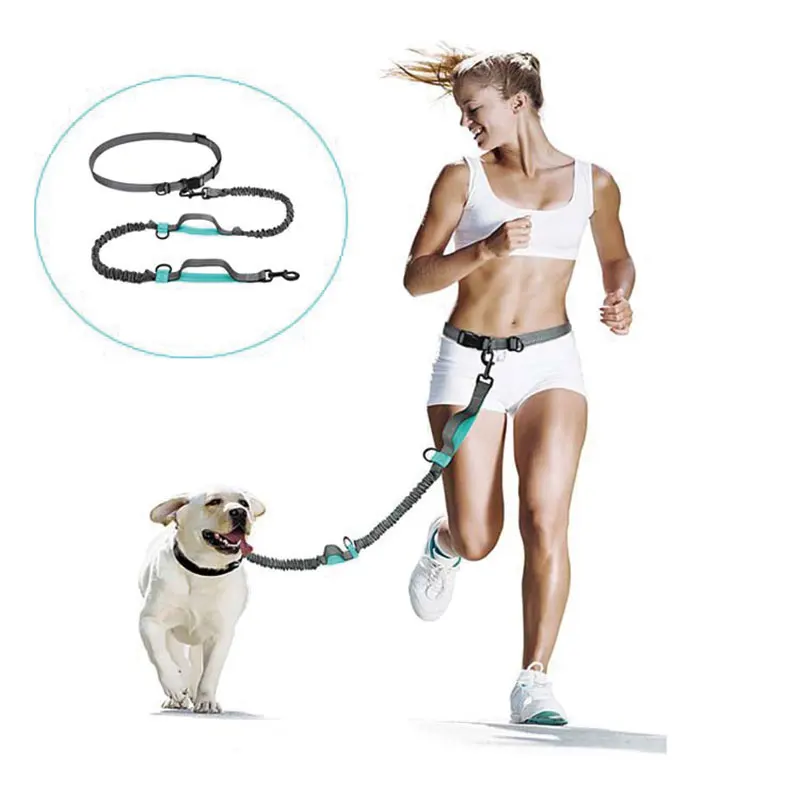 

Free Hands Running Comfortable Leashes Outdoor Retractable Dog Walking Belt For Medium To Large Dogs Pet Elastic Dog Supplies
