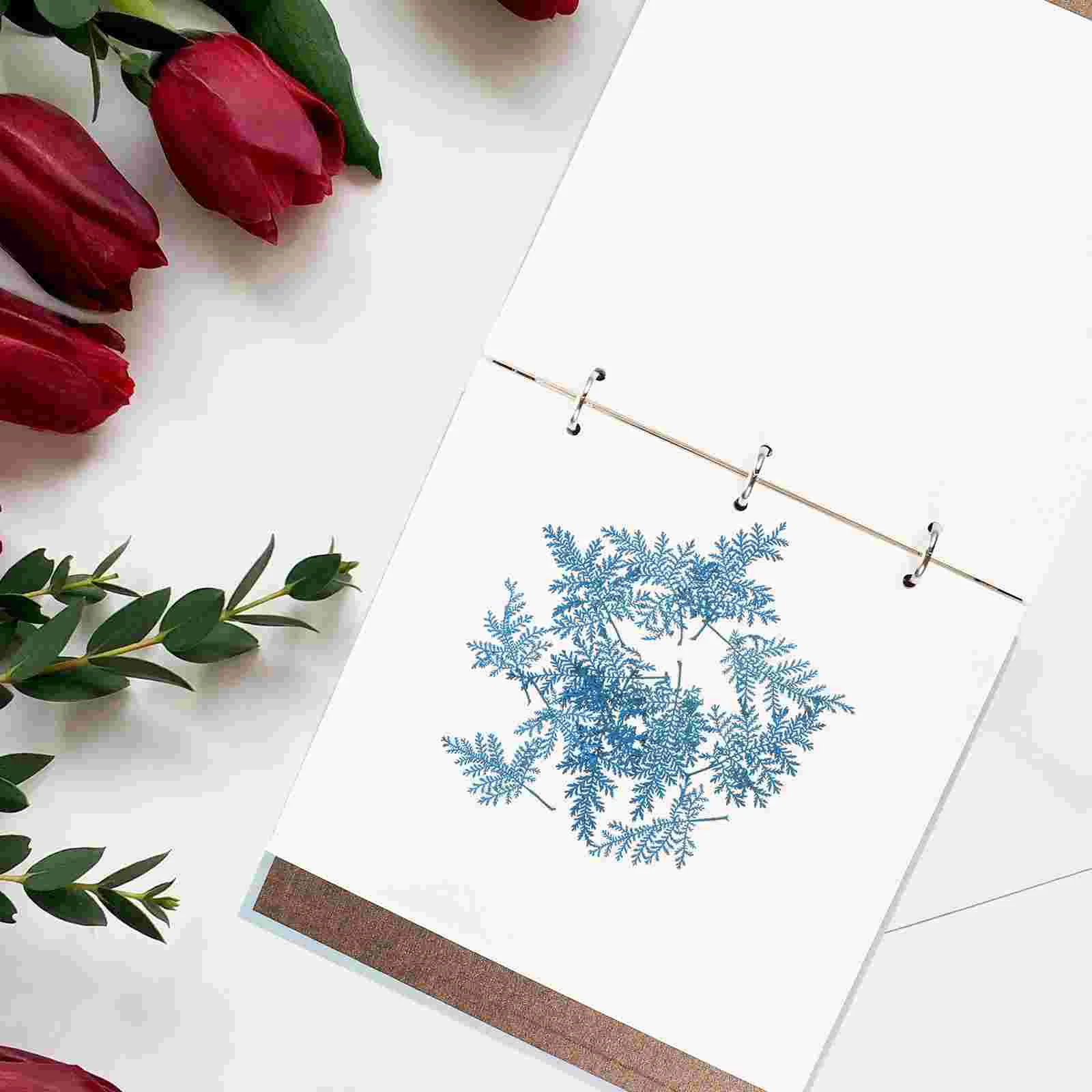 

Specimen Holder Collection Book Leaves Pouch Pressed Flower Album Paper Scrapbook