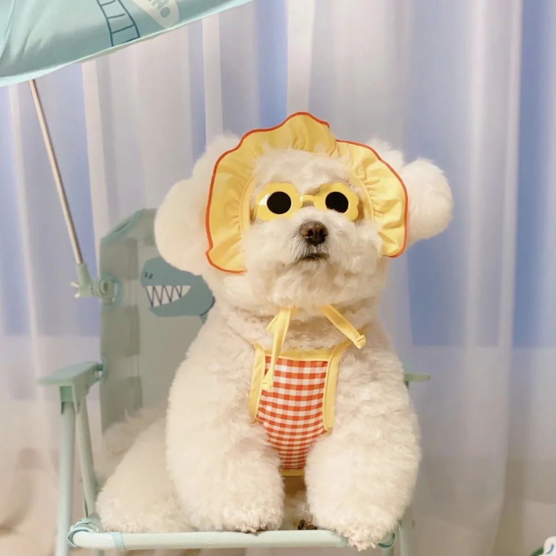 

Pets Accessories Korean Cute Dogs Sungalsses Birthday Flower