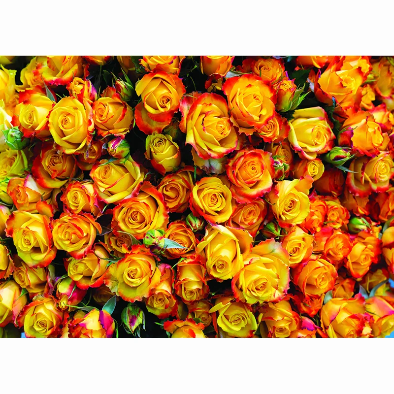 SHUOZHIKE Valentine's Day Rose Flower Photography Background Birthday Wedding Child Portrait Photo Backdrop Studio 210314RAI-02