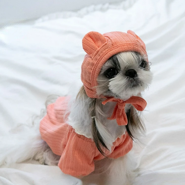 

Плюшевый костюм медведя для собаки, осенняя и зимняя одежда для маленьких собак