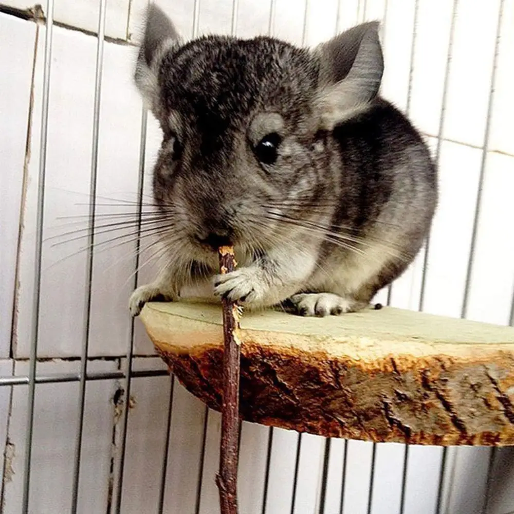 

20/40/60 шт., кролик, кролик, яблоко