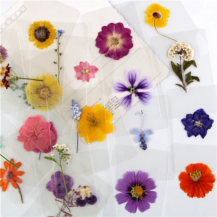 

Natural Dried Flower Bookmark,Dried Flowers for Resin Molds,Dried Pressed Flower Scrapbooking Supplies Card Making Supplies 1PC