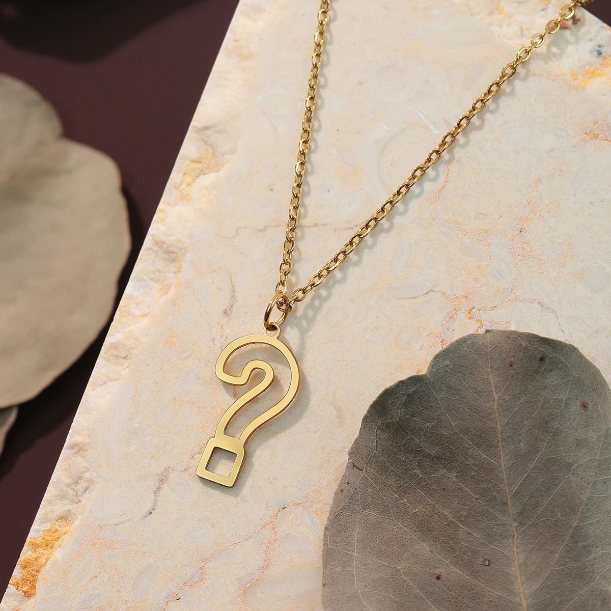 Ожерелье Todorova знак вопроса из нержавеющей стали