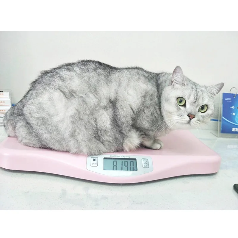 

Smart Digital Vet Use Small Animal Weight Measuring Cat Dog Weighing Scales Pet Weigh Scale