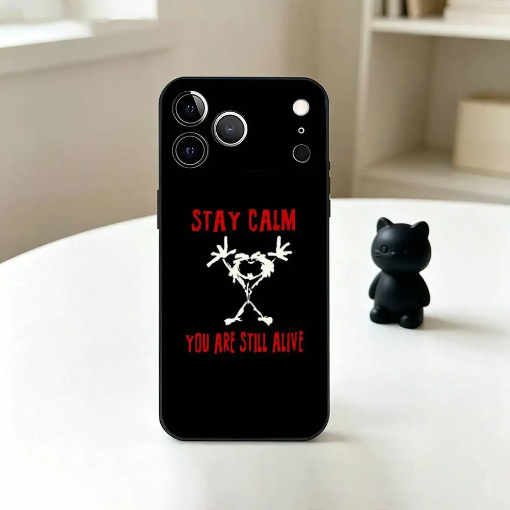 Фото Чехол T-Pearl Jam для iPhone 17, 16, 15, 14, 13, 12, 11 Plus, Pro Max и других моделей, мягкий черный чехол №2