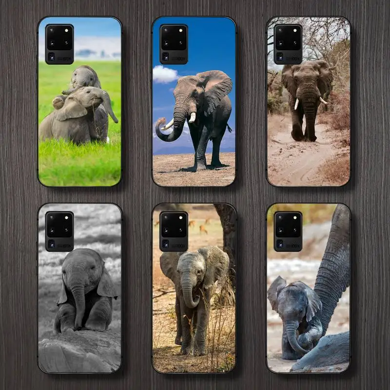 

Elephant Cute animal Phone Case For Samsung galaxy A S note 10 12 20 32 40 50 51 52 70 71 72 21 fe s ultra plus