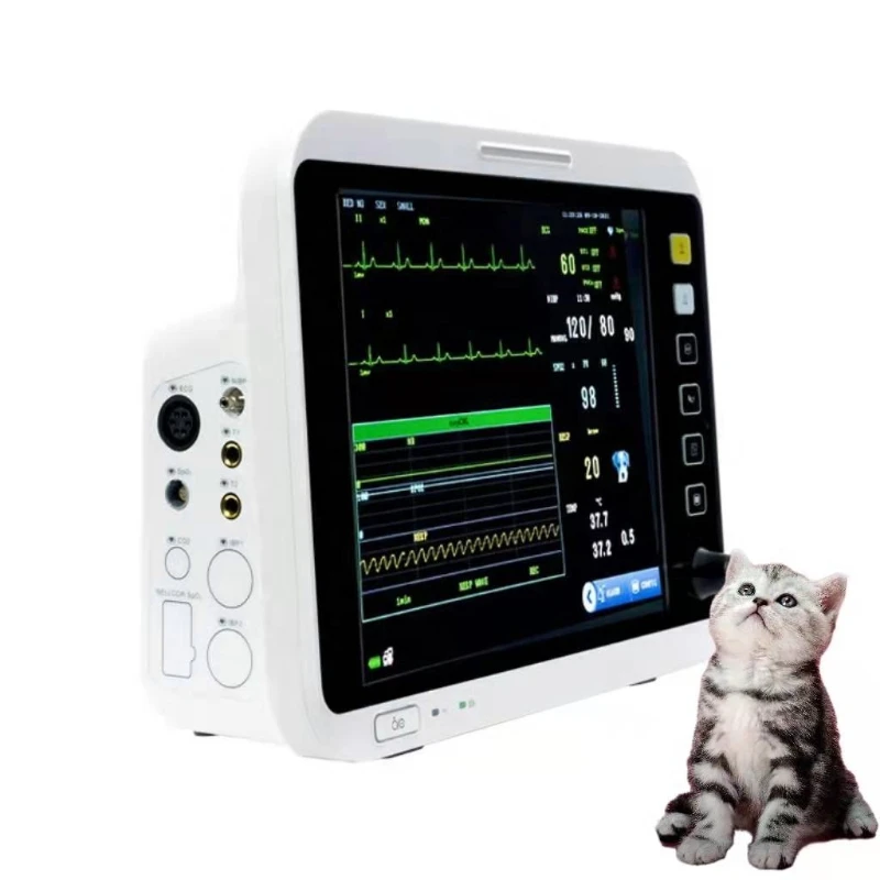 

Cheap Price 12.1 Inch Vet Co2 Monitor Veterinary Capnograph Blood Pressure Monitors Pets Vital Signs