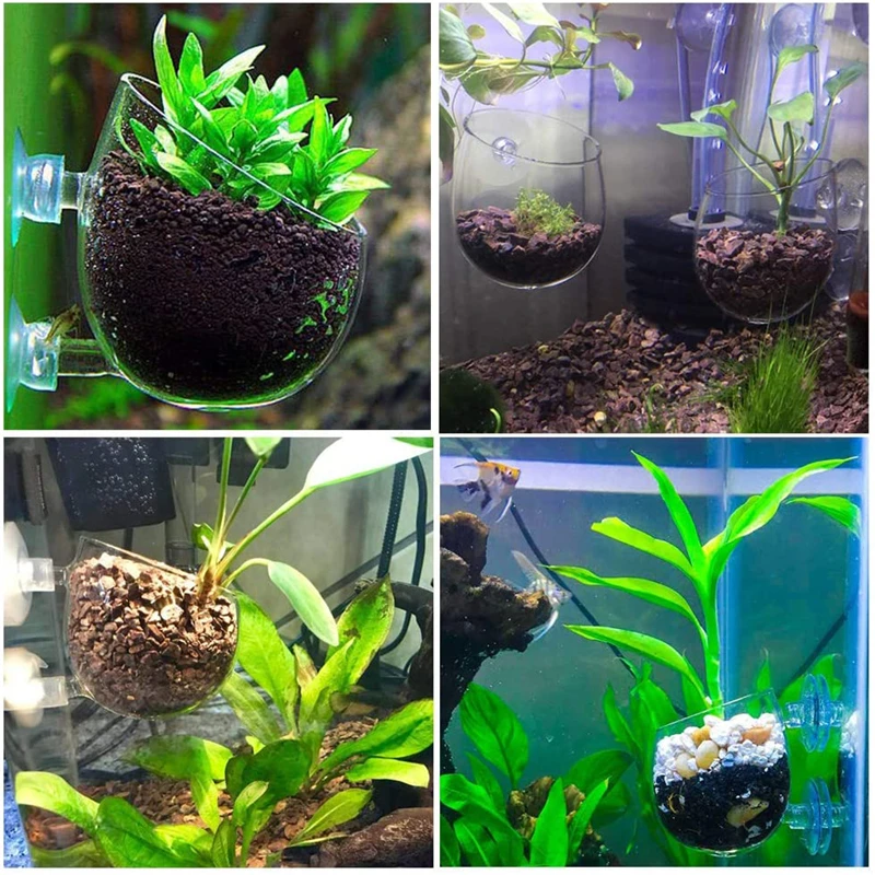 

Aquarium Decoration Plant Pot Glass Cylinder Cup With Suckers Cultivate Aquatic Plants Seeds Coral Moss Fish Tank Accessories