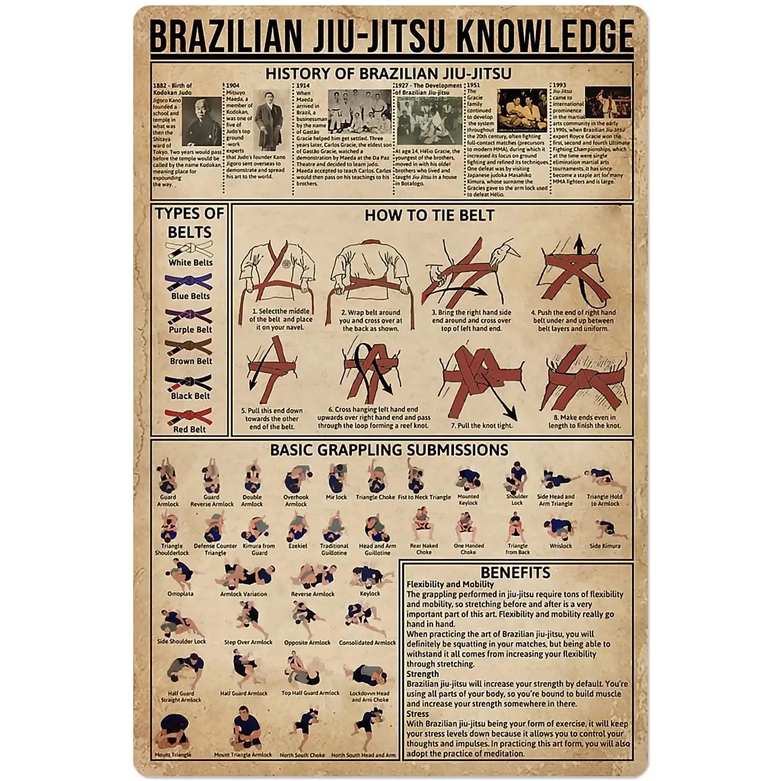 

Ji-Jitsu Knowledge Metal Tin Sign Brazilian Jiu-Jitsu Education Guide Poster Martial Arts Hall Club School Home Wall Decoration