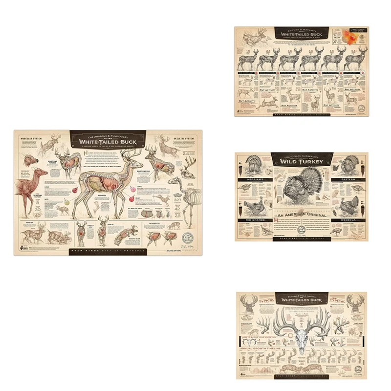 Принты бумаги рост и зрелость белого хвоста