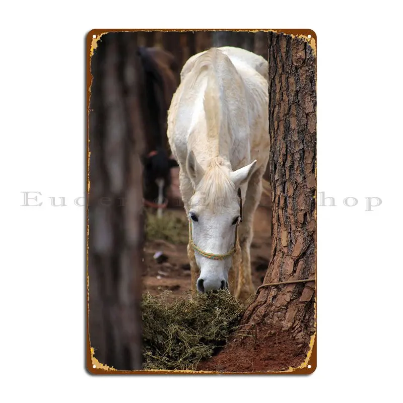 

White Horse Metal Plaque Wall Cave Plaques Pub Plates Designer Mural Tin Sign Poster
