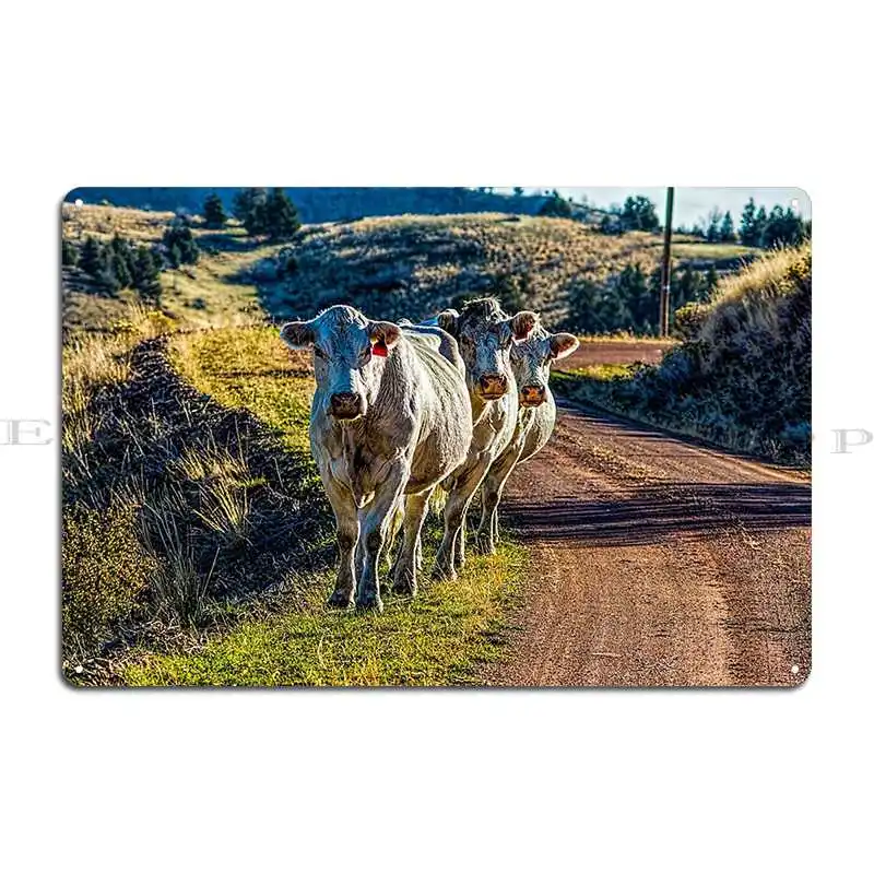 Три Cowmigos Ashwood металлические знаки гостиная ржавая персонализированный кинотеатр