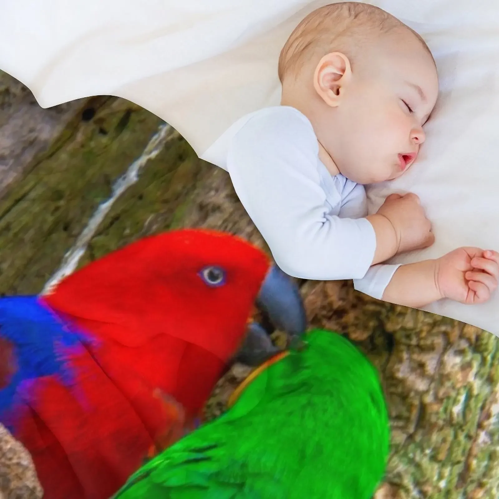 Одеяло Eclectus Parrots теплое летнее одеяло одеяла