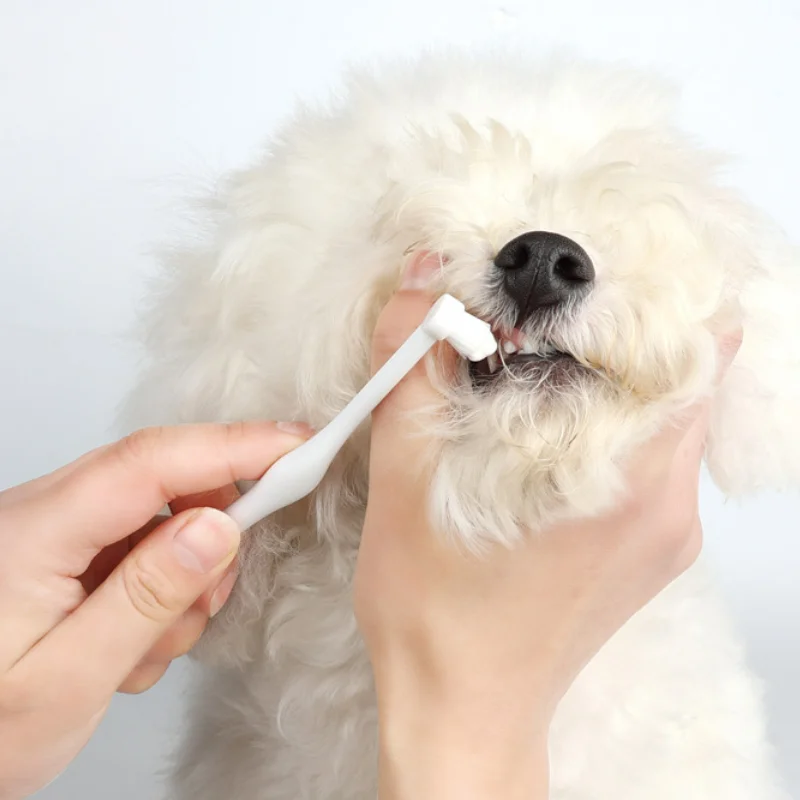 Pаспродажа Зубная щетка для чистки домашних животных, зубная щетка для кошек и собак, инструмент для мытья рта, щетка с манжетами из говядины и ванили Pаспродажа Зубная щетка для чистки домашних животных, зубная щетка для кошек и собак, инструмент для мытья рта, щетка с манжетами из говядины и ванили