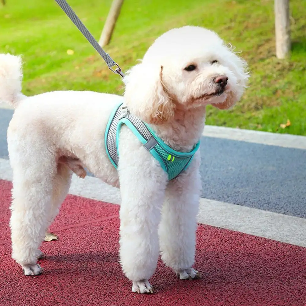 

Reflective Puppy Harness Breathable Mesh Reflective Pet Vest Harness with Leash Adjustable Buckle for Small Dog Puppy for Pet