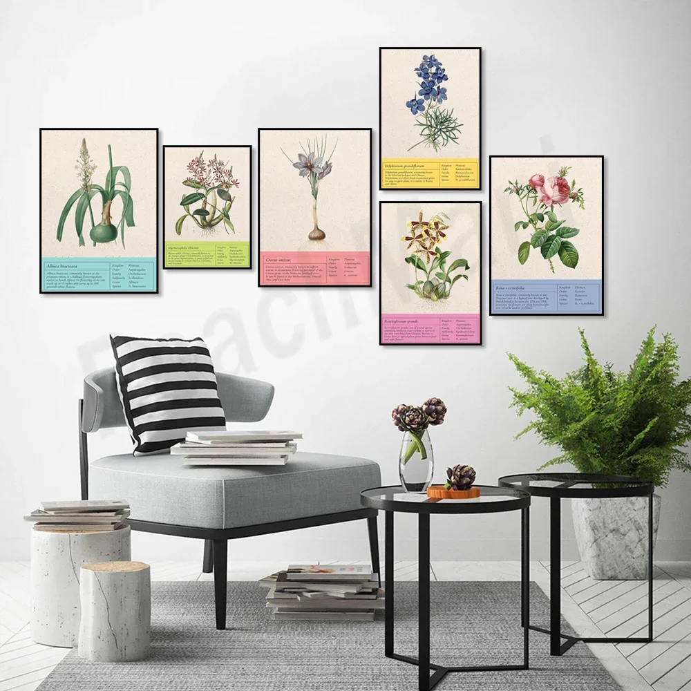 Винтажный ботанический постер лук дельфиниум крокус august лилия водная роза тигр