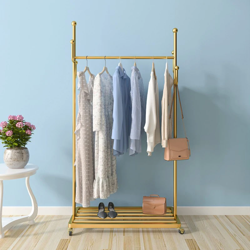 

Living Room Hallway Clothing Rack Minimalist Gold Floor Entrance Clothing Rack Multifunction Burro Ropa Perchero Eccessories