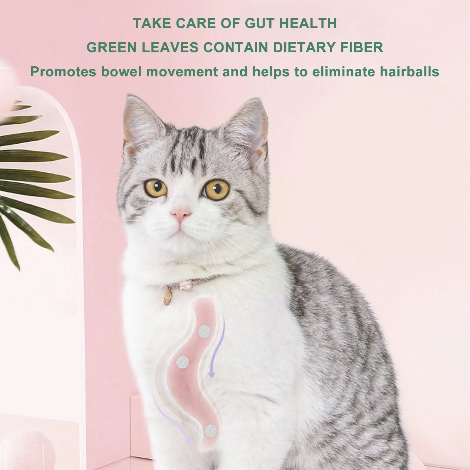 

Catnip Organic 100% Natural High Quality Cattle Grass Artificial Cat Healthy Clean Teeth 10g Supplies Funny Toy Pet Mint C3Z5