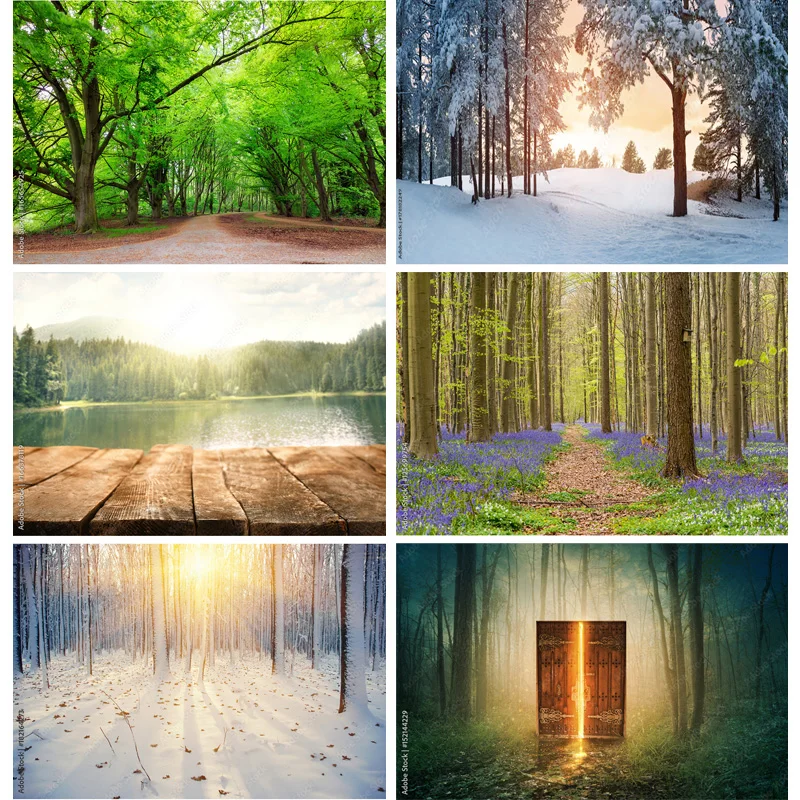

Natural Scenery Photography Background Forest Landscape Travel Photo Backdrops Studio Props 22331 SELI-04