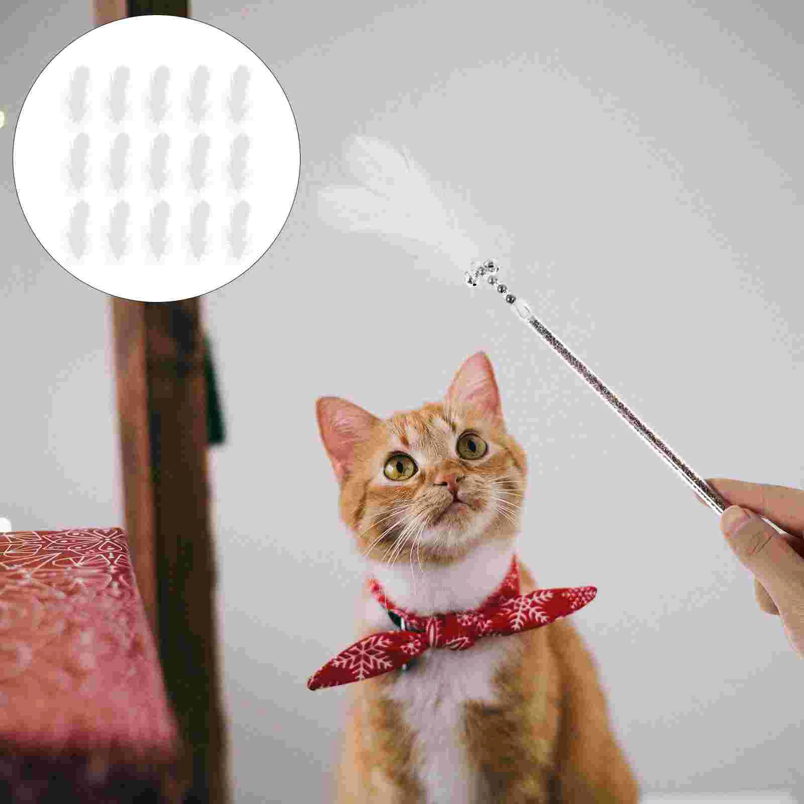 

Crafts White Craft Naturaldecor Small Decoration Diy Vase Decorations Bulk Real Owl Catchers Dream Kids Function Multi Turkey