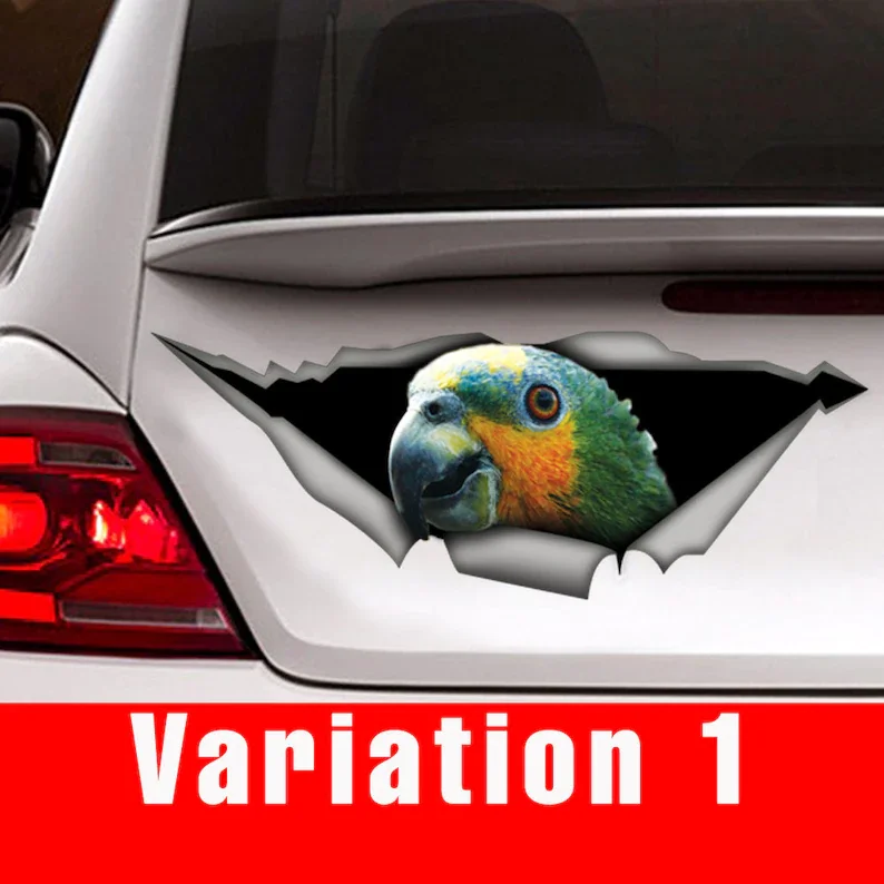 

Venezuela amazon parrot decal, parrot sticker, birds car decal