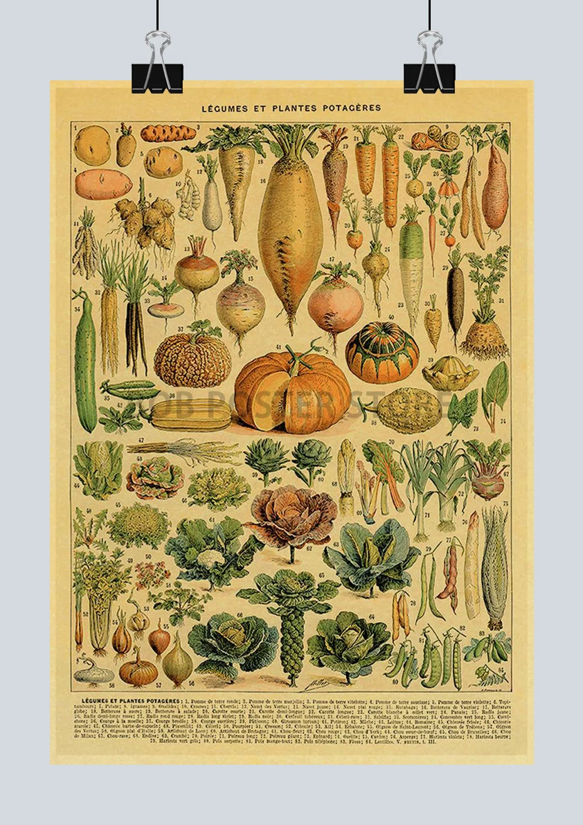 

Фотообои "Ботаника" Lanxihaibao