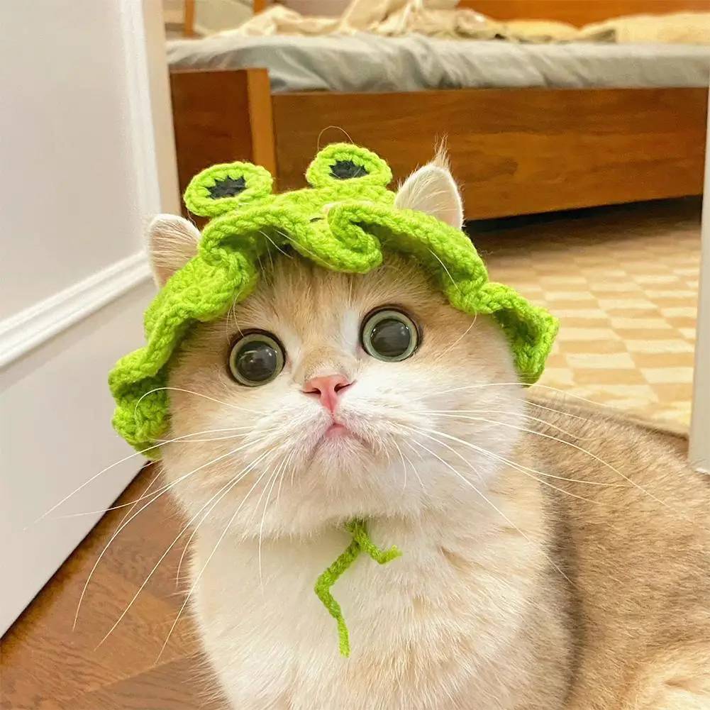 

Funny Pet Hat Elasticity Cute Pet Adjustable Strap Knitted Hat For Party Dog Headwear Lovely Hand Knitted Cap Cost L1w4