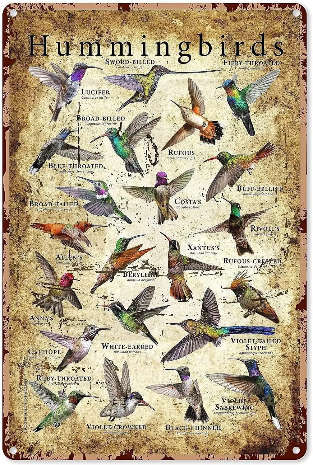Ретро Metl Плакат Типы Hummngbrd Tn Sgns Vntge Plque Wll Decor Gft Для дома Ktchen Office Club Br Gym 24x32 nch