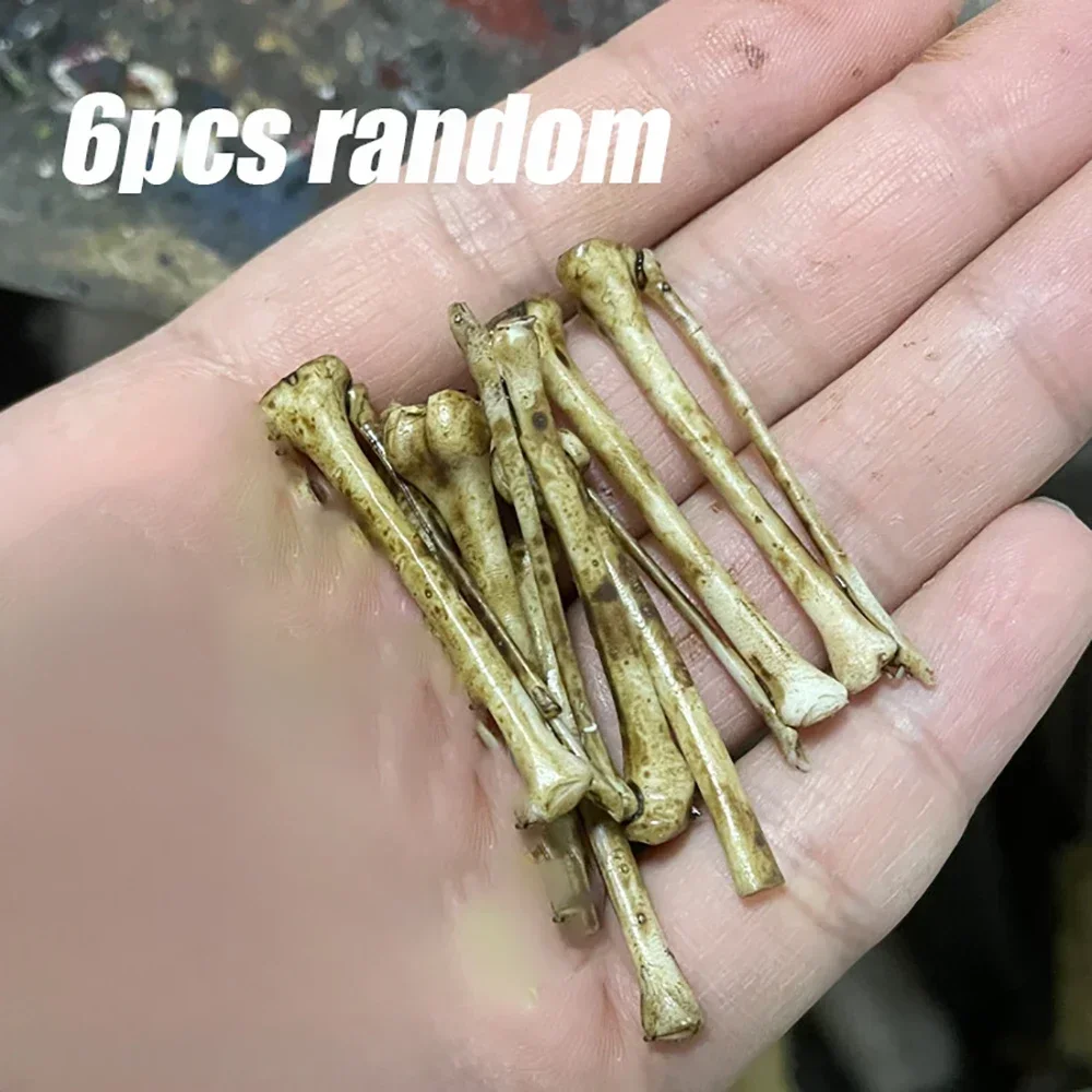 

Миниатюрный пластиковый скелет ящерицы 1:12