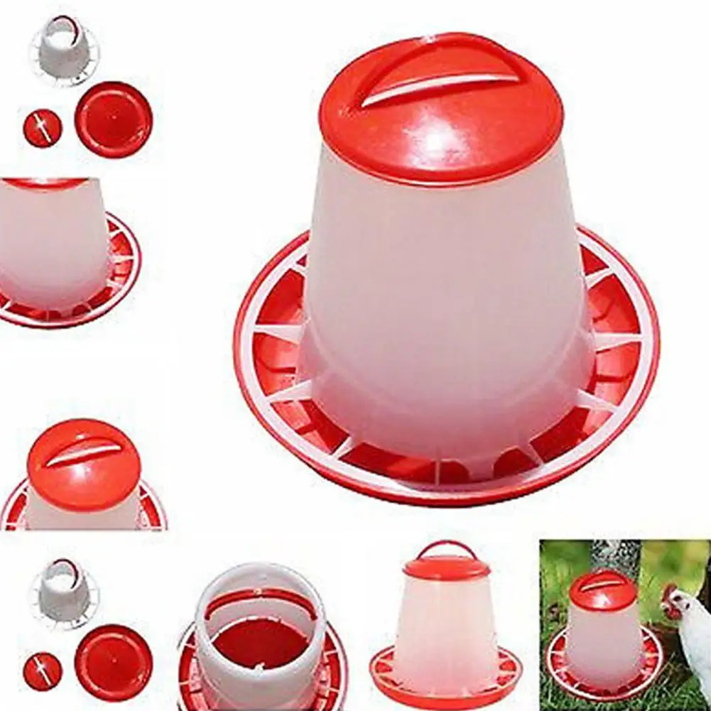 

Feed Bucket For Chicken1.5kg Chicken Automatic Feeder Quail Pigeon Feeder Chicken Feeding Bucket Poultry Animal Feeding Tool