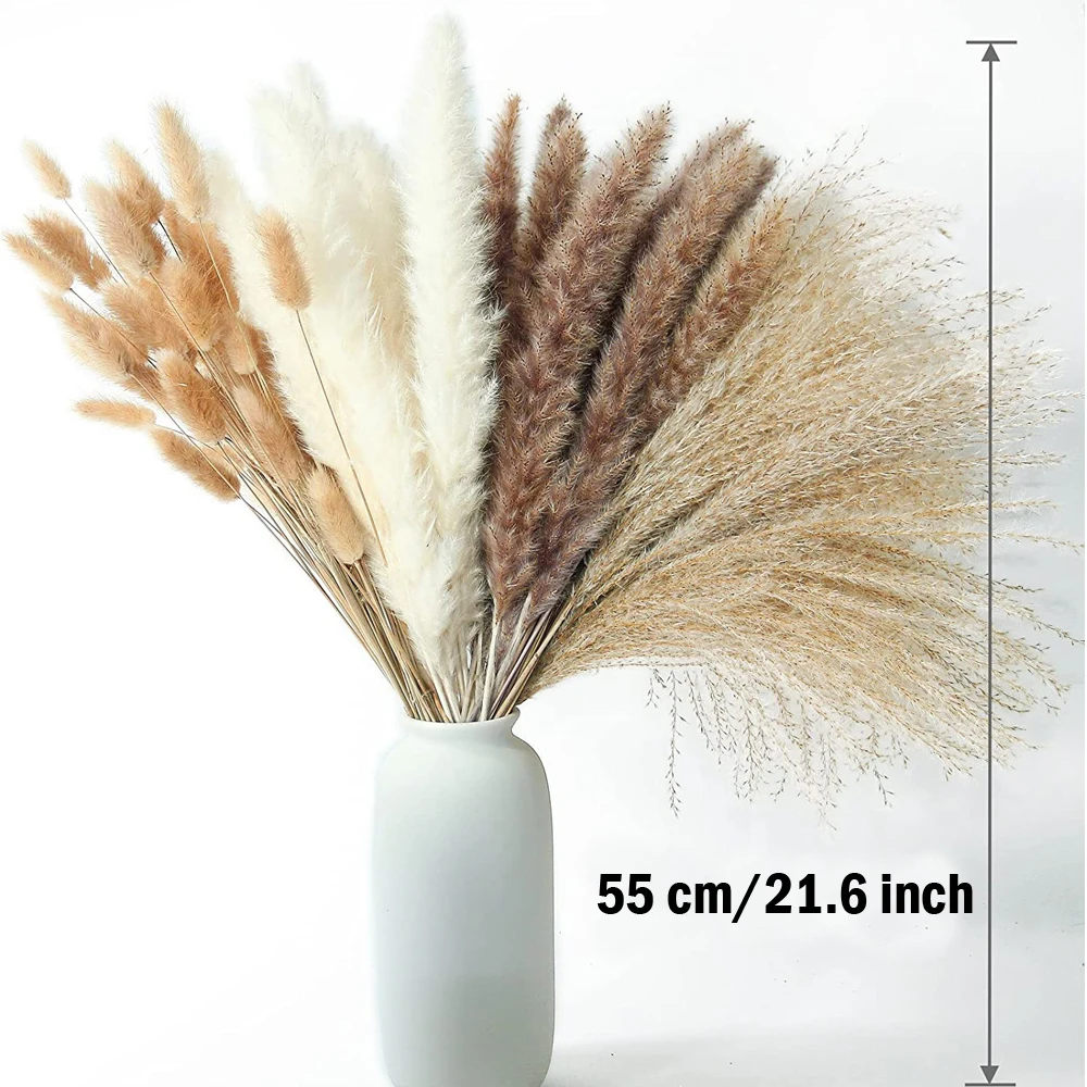 

100 Pcs Dried Pampas Grass ,Contains Bunny Tails Dried Flowers,Reed Grass Bouquet for Wedding Boho Flowers Home Table Decor