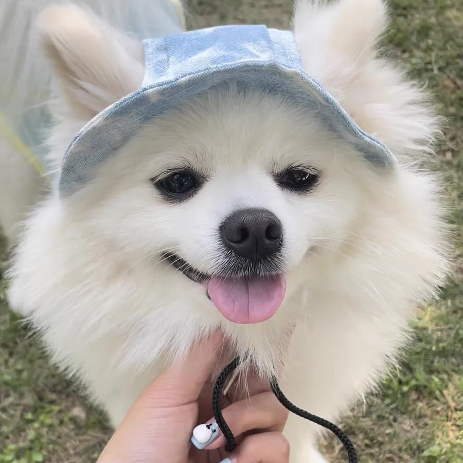 Милая шляпа от солнца для домашних животных шляпы кошек бейсболка маленьких