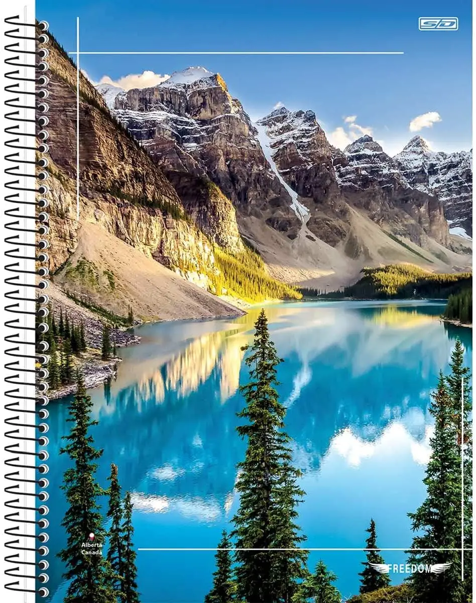 

Kit de Cadernos Universitário 1 Matéria Capa Dura Freedom 96 Folhas Pacote com 4