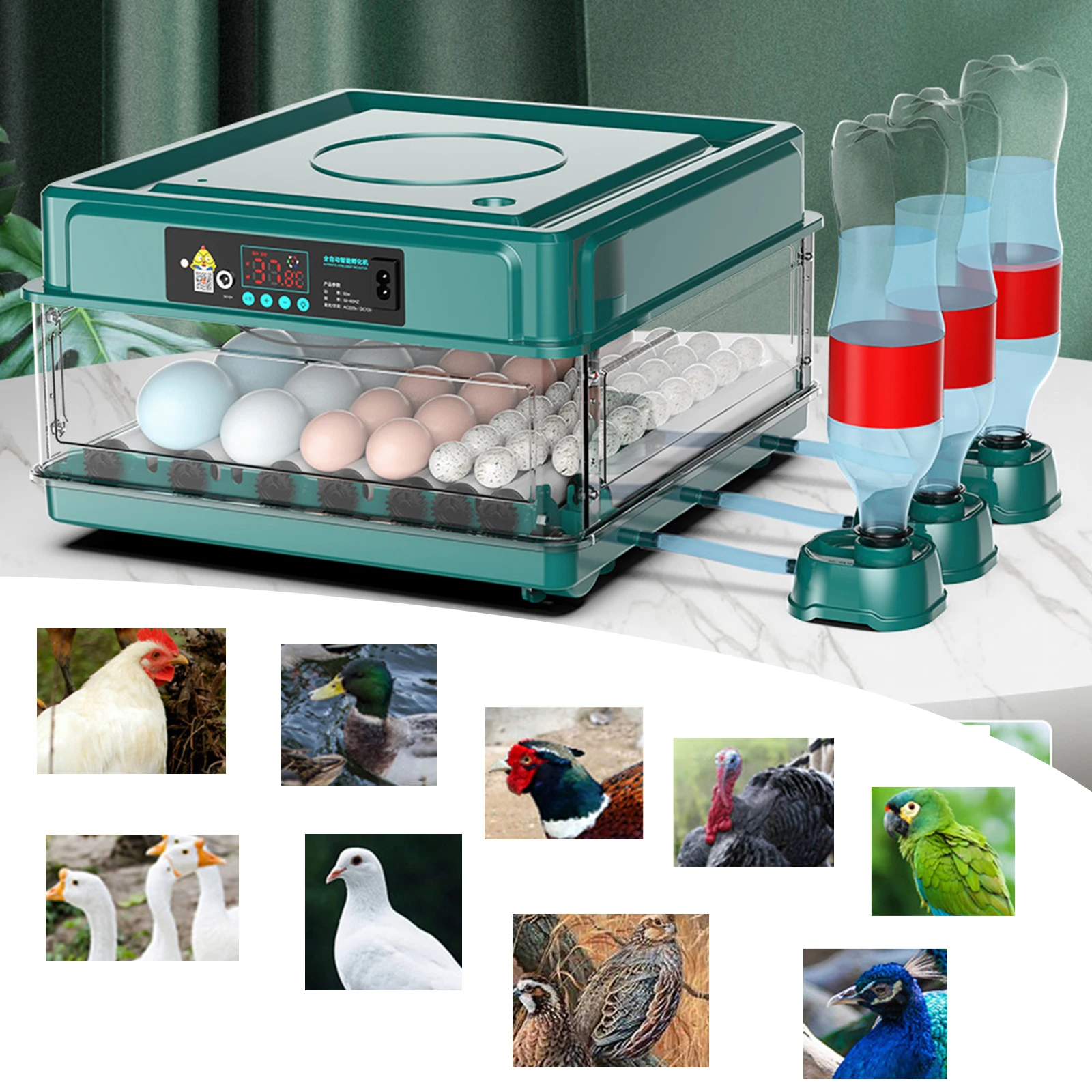 

130/98/64/56/36/24/15/12/6 Eggs Eggs Incubator Fully Automatic Temp Controller Chicken Goose Quail Auto Turner Equipment US Plug