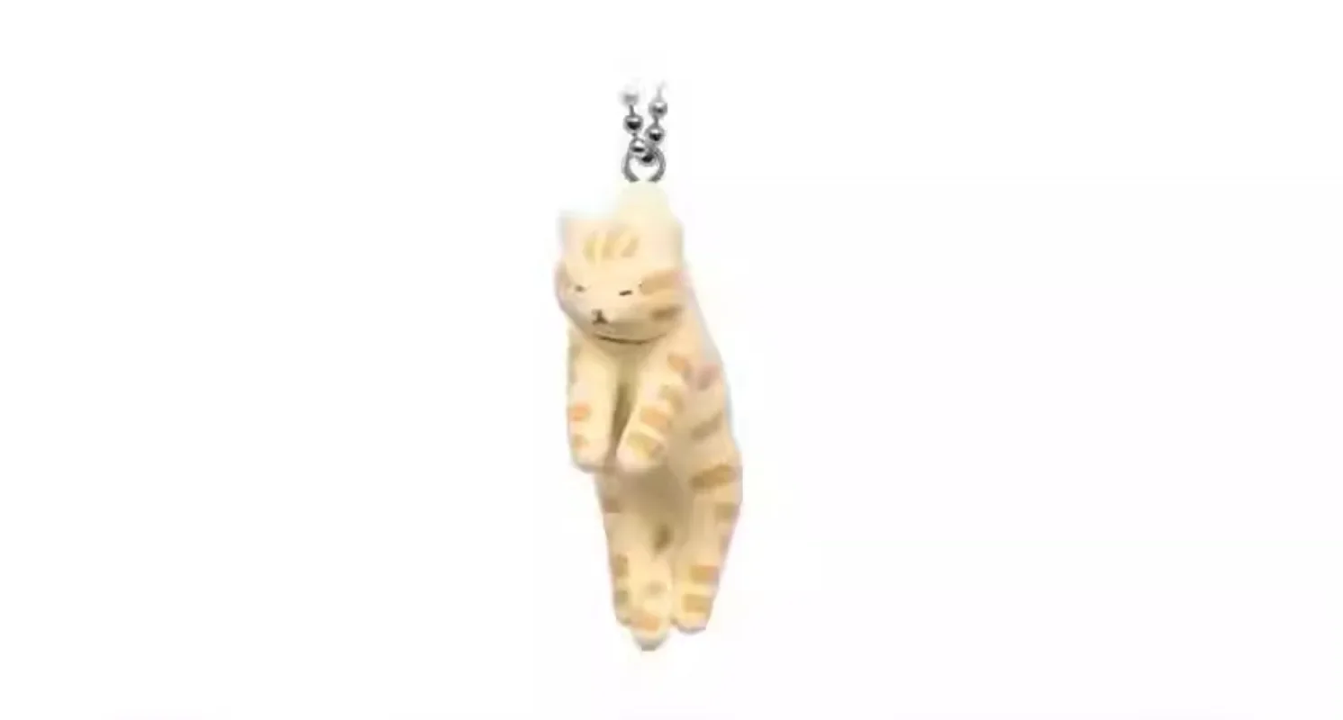 Buchi Roest Mascotte Schattige Exotische Korthaar Somali Tonkinese Pluizige Flocky Pinch