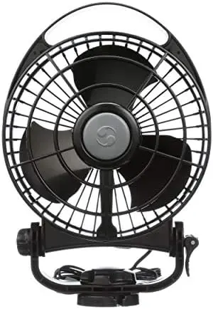 

Fan from