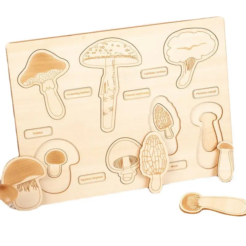 

Life Cycle Jigsaw Tray Wooden Life Cycle Tray Of Mushroom Toddler Wood Jigsaw Puzzle Toys LifeCycle Of Mushroom Early