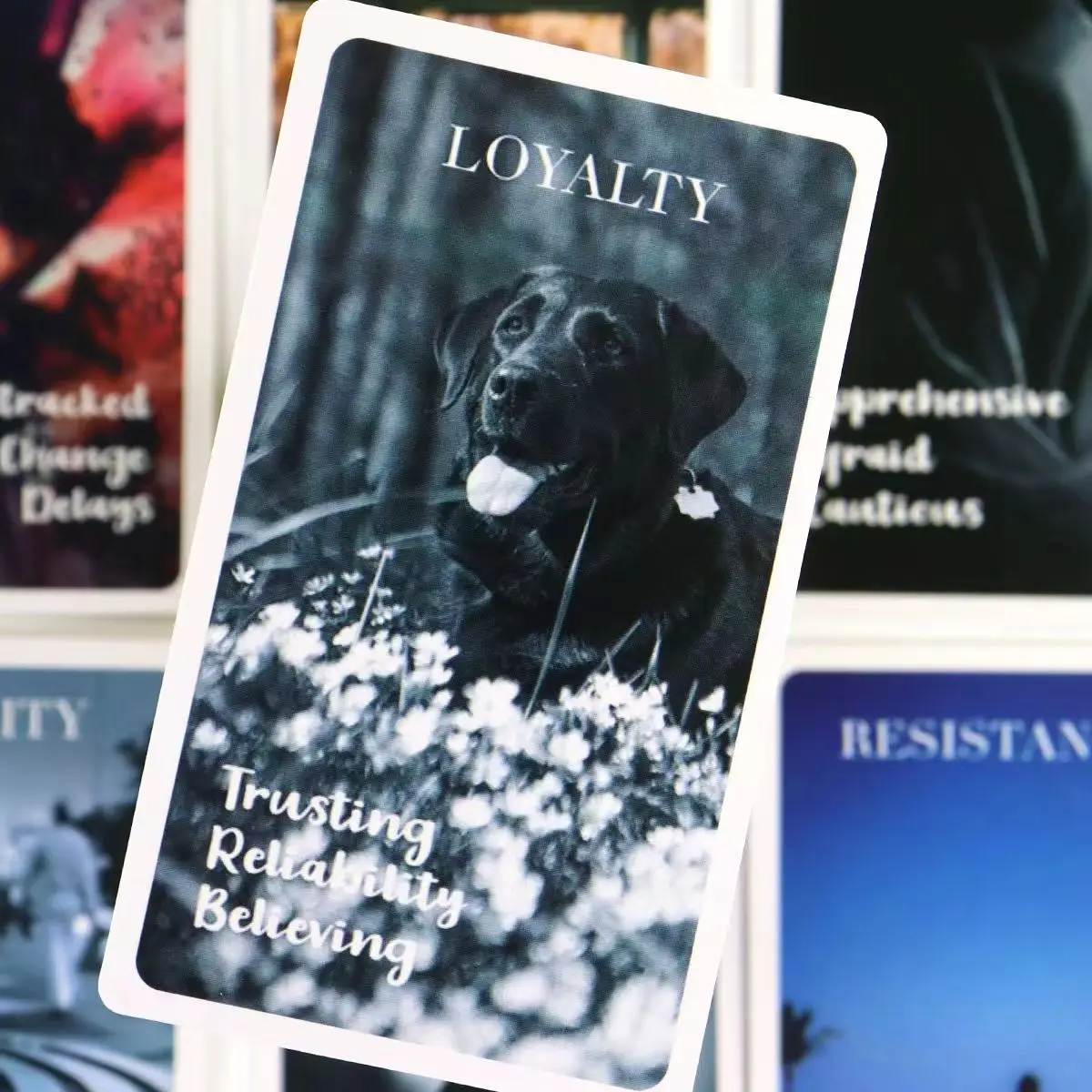 10 3*6 см Сердца Скрытые секреты Колода Oracle Карты для ситуаций Глянцевая колода с